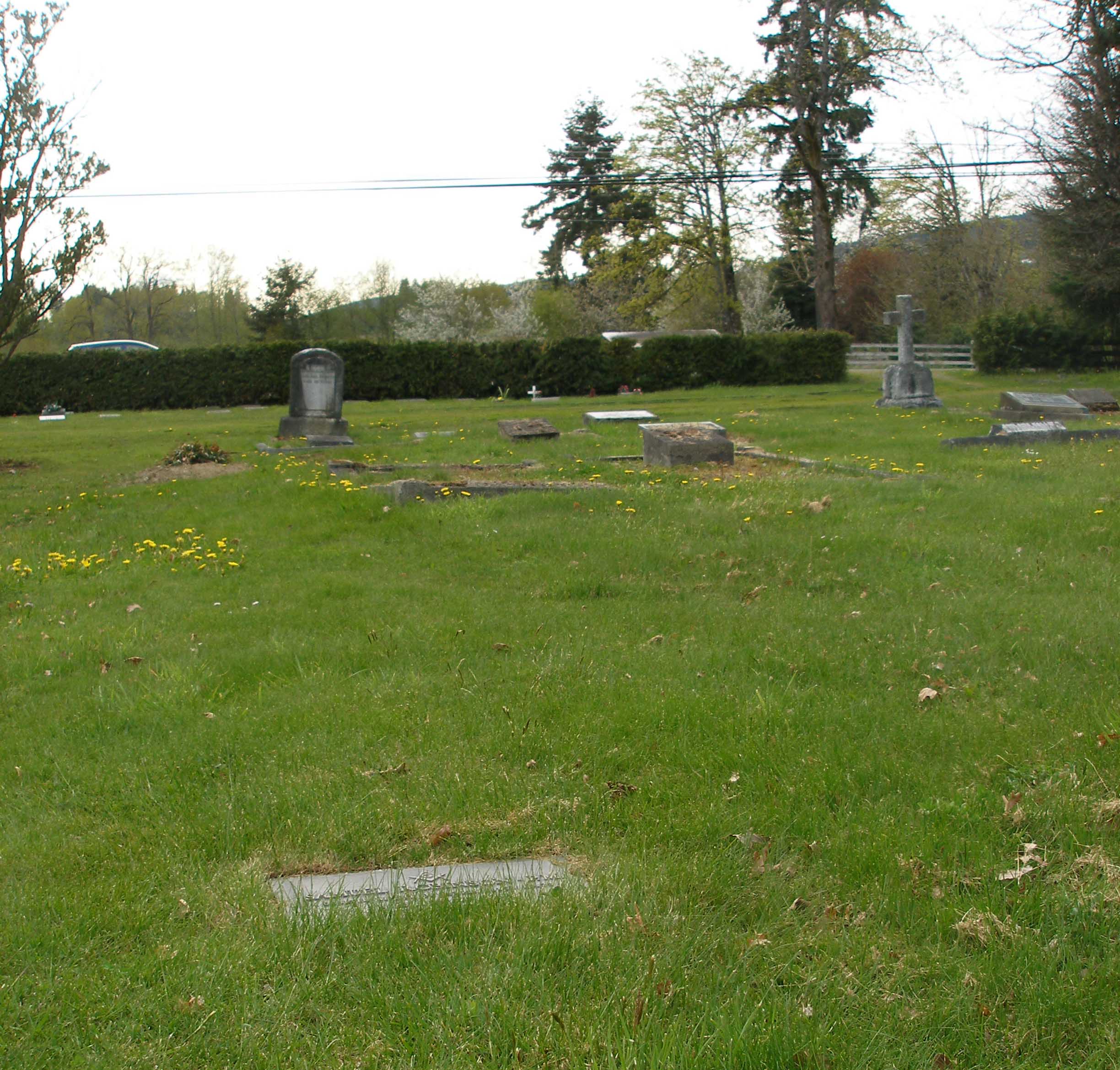 Samuel Robinson grave